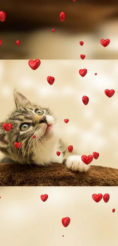 Cute kitten with red hearts on a beige background.