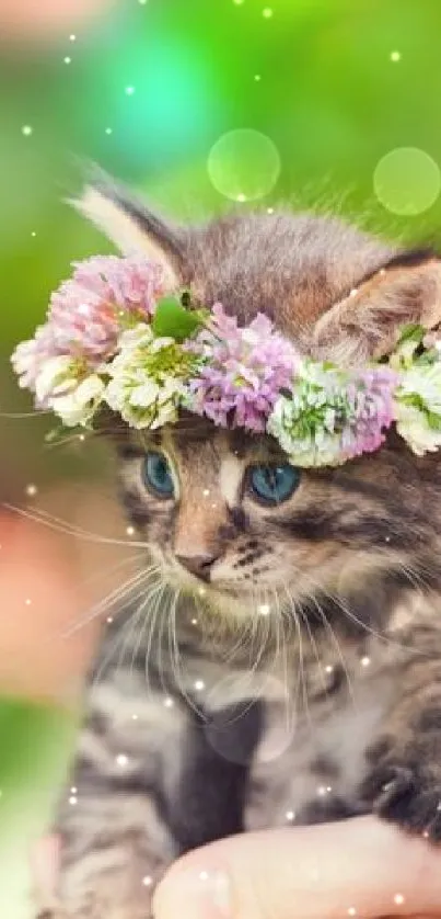 Adorable kitten with flower crown in vibrant natural setting.