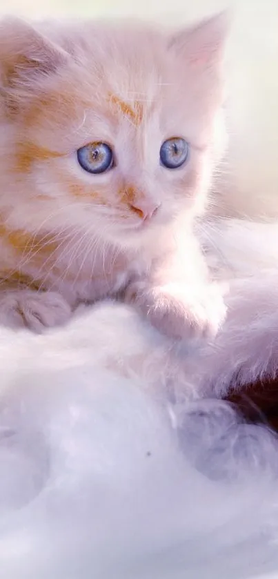 Cute kitten resting on fluffy hat in pastel background.