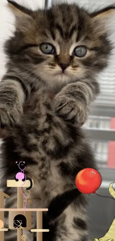 Adorable fluffy kitten with playful cartoon drawings on wallpaper.