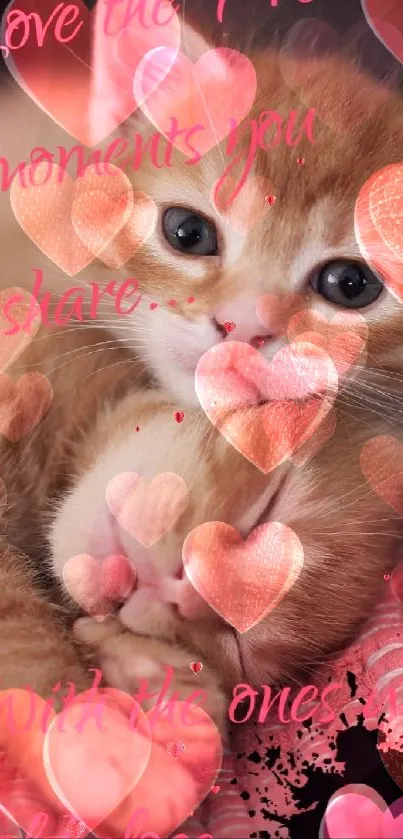 Cute kitten with heart overlays on a pink theme background.