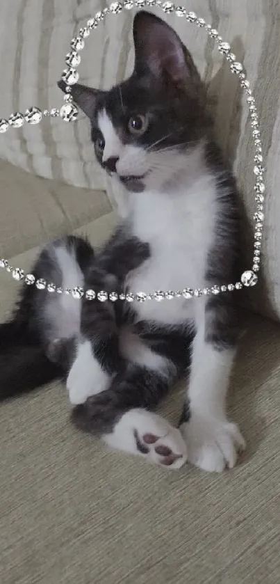 Cute kitten with heart frame on a beige couch.