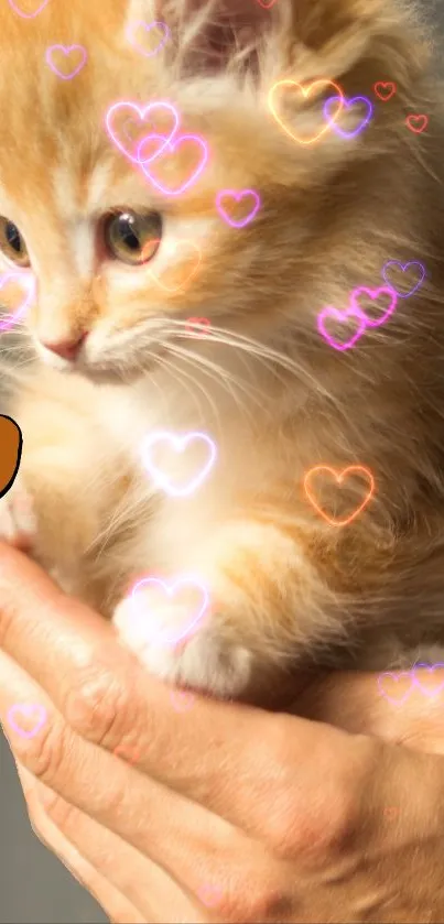 Cute kitten held in hands with glowing hearts overlay.