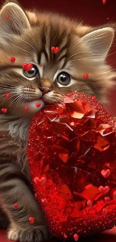 Kitten holding a sparkling red heart on a rich red background.