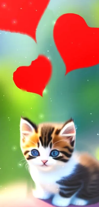 Adorable fluffy kitten with red hearts on green background.