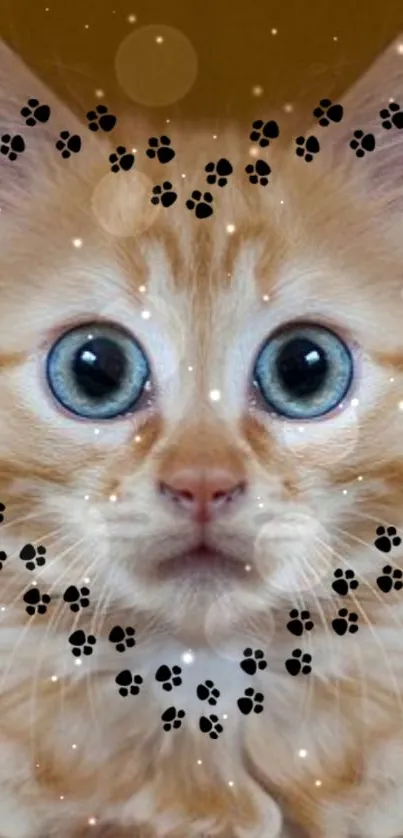 Cute orange kitten with paw prints and sparkling effects as phone wallpaper.