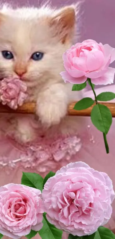 Cute kitten with pink roses on floral wallpaper.