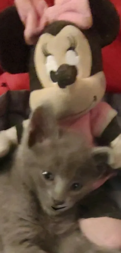 Gray kitten cuddling with plush toy on a red and grey background.