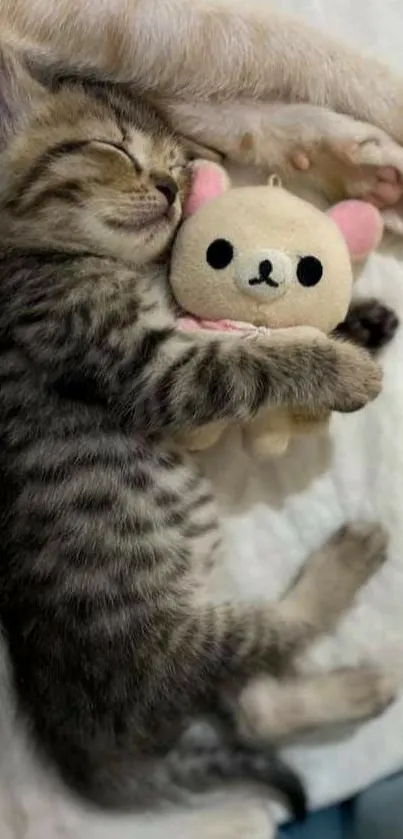 Sleeping kitten hugged by a cute plush toy on a soft background.