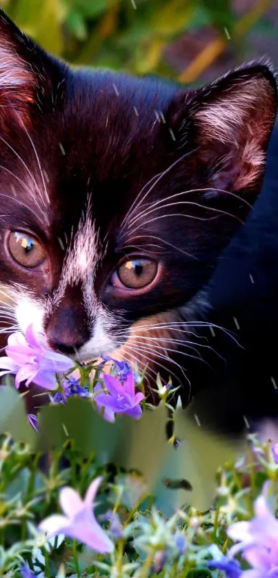 Cute kitten surrounded by purple flowers, ideal for mobile wallpaper.