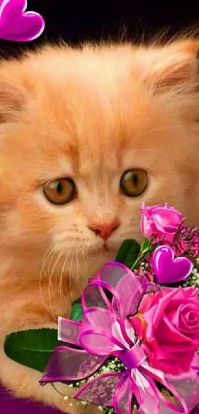 Cute kitten with pink roses and hearts on a vibrant wallpaper.