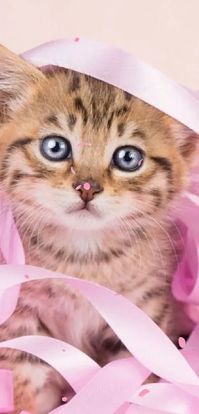 Adorable kitten wrapped in soft pink ribbon, perfect for a mobile wallpaper.