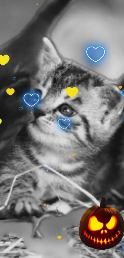 Cute kittens with hearts and Halloween pumpkin in black and white wallpaper.