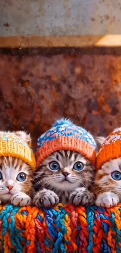 Three kittens wearing colorful knit hats