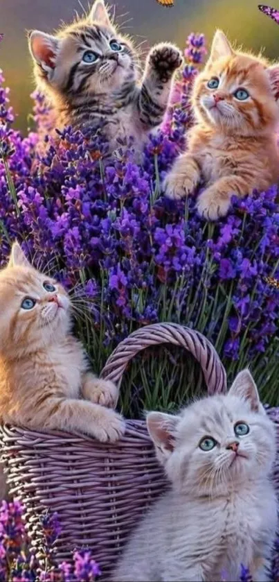 Kittens playing in a lavender-filled basket.