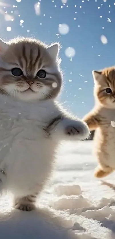 Adorable fluffy kittens frolicking in the snowy landscape with sunlight.