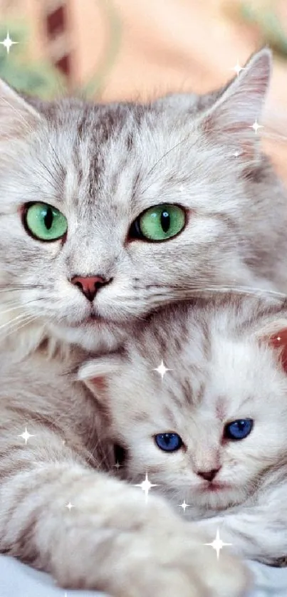 Two adorable kittens with striking eyes and a pastel background.