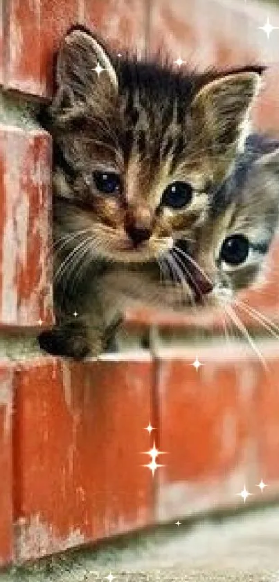 Two cute kittens peeking through a red brick wall, offering a charming view.