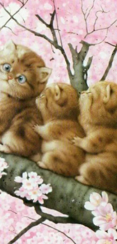 Kittens on a cherry blossom branch with pink flowers.