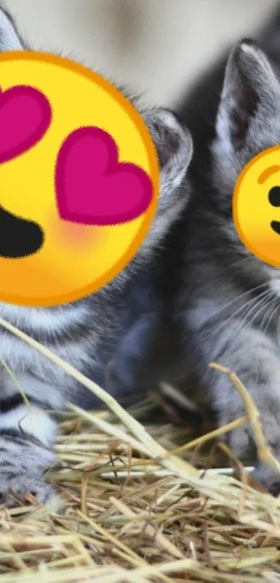 Adorable kittens with playful emojis on hay.