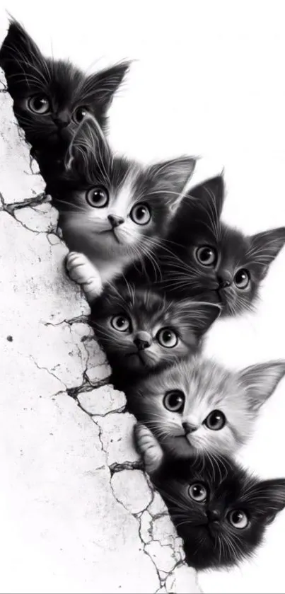 Cute kittens peeking from a cracked wall, creating an adorable wallpaper.