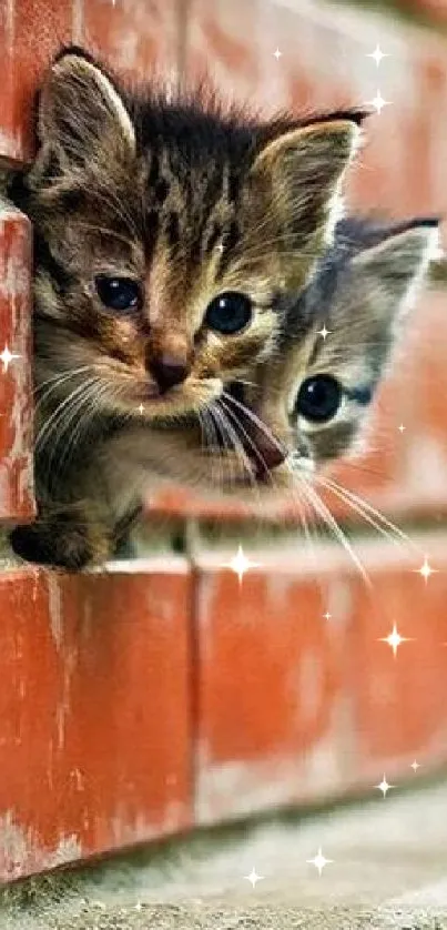 Two cute kittens peeking through a brick wall.