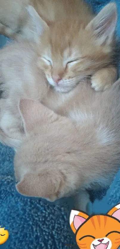 Two kittens sleeping on a blue blanket with cute cartoon accents.