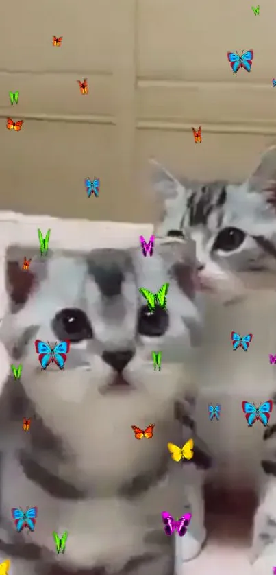 Gray kittens with colorful butterflies on wallpaper.