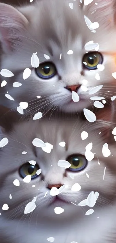 Two adorable kittens surrounded by white falling petals.