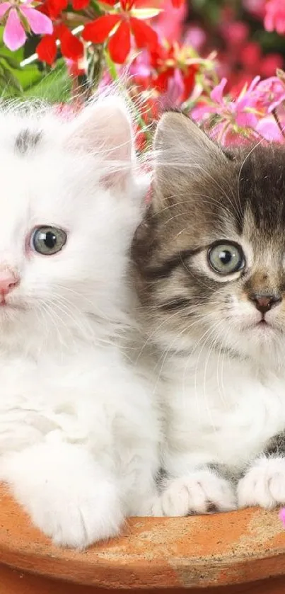 Two cute kittens in a pot with vibrant flowers.