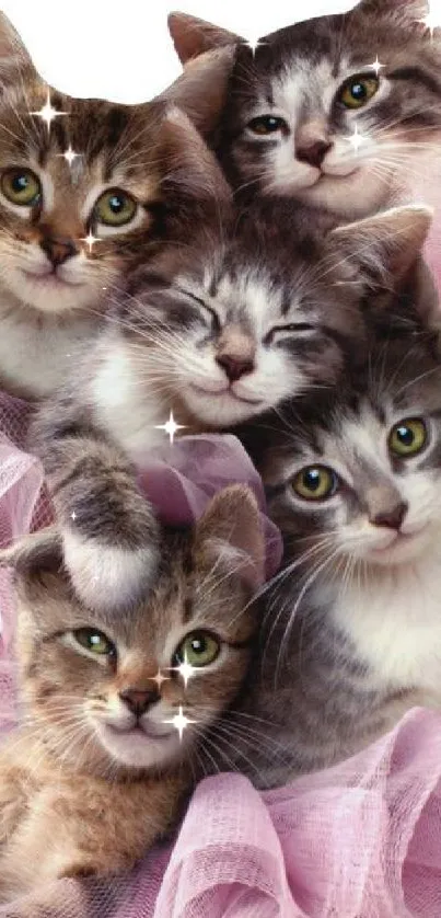 Five adorable kittens surrounded by pink tulle.