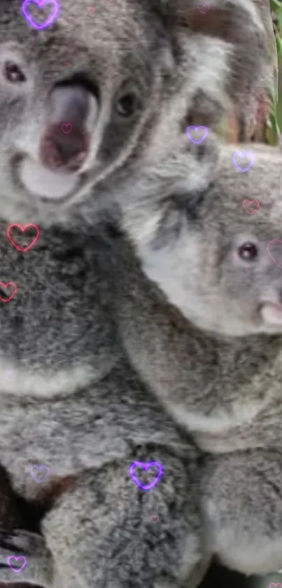 Cuddling koalas with heart motifs on branches.