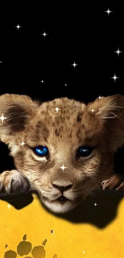 Cute lion cub with blue eyes peeking over a yellow ledge in wallpaper.