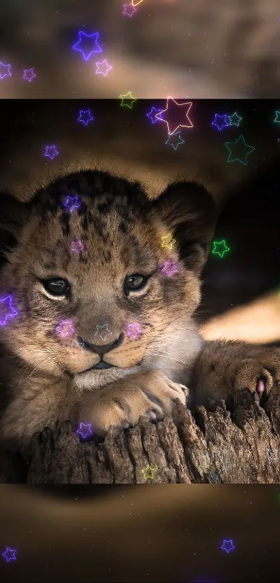 Lion cub on a log with glowing starry effects.