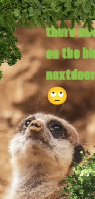 Cute meerkat with emoji and green text on wallpaper.