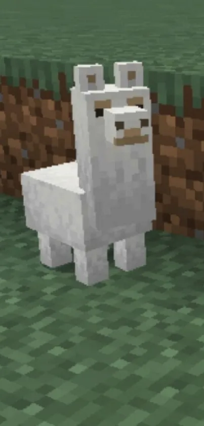 A cute Minecraft llama standing on grass in a blocky world.