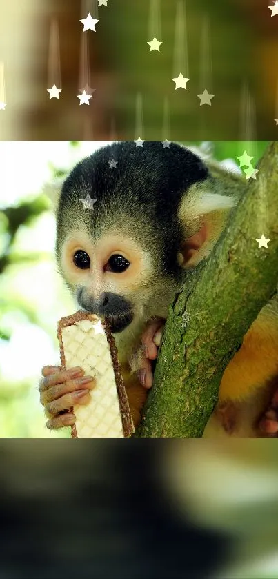 Adorable monkey eating a wafer on a tree branch with stars.