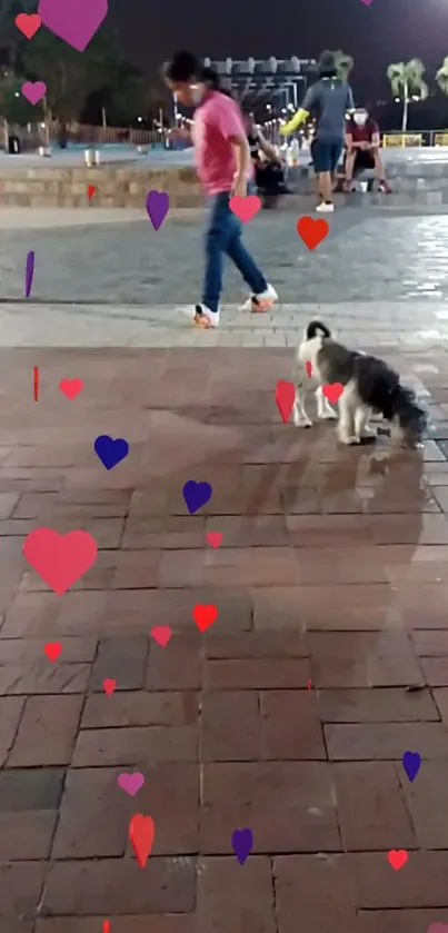 Cute cat on a brick path with heart graphics at night.