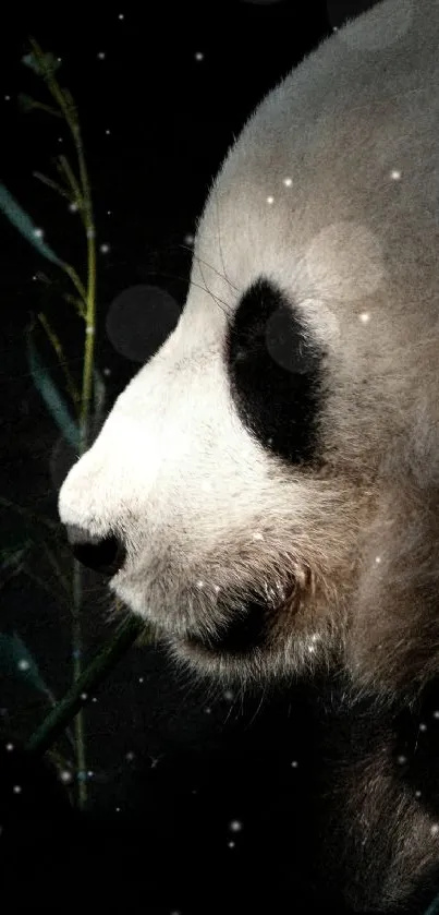 Side view of a panda against a dark background.