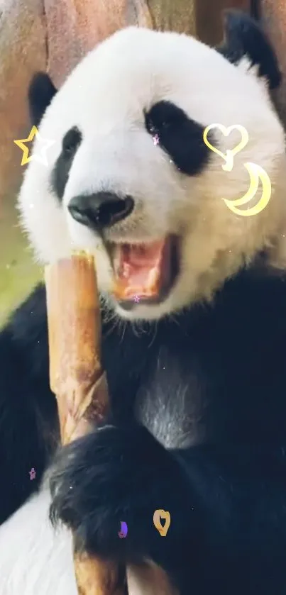 Cute panda eating bamboo with animated stars and moon.