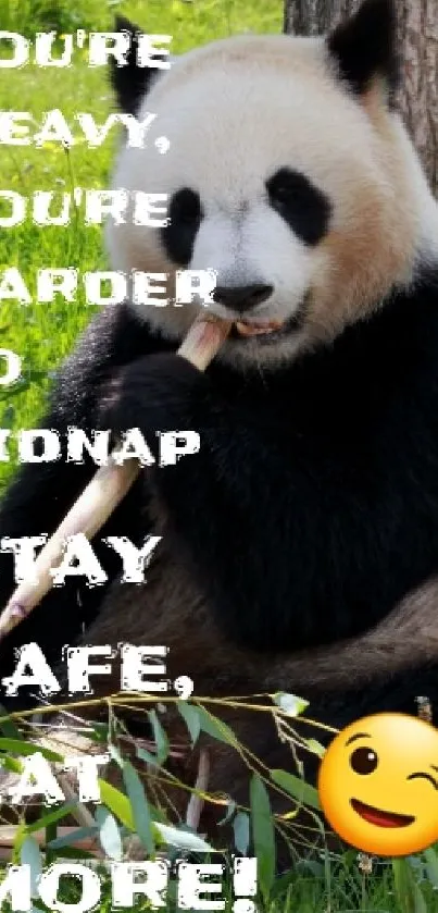 Panda eating bamboo with motivational text and emoji in green setting.