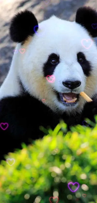 Cute panda with hearts in a vibrant nature setting.