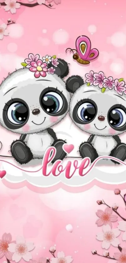 Adorable pandas with pink cherry blossoms and love theme on mobile wallpaper.