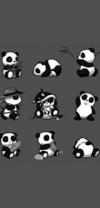 Gray background with adorable pandas in various poses.