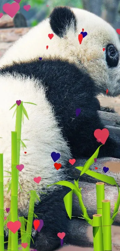 Adorable panda cub sitting on bamboo logs in a natural setting.