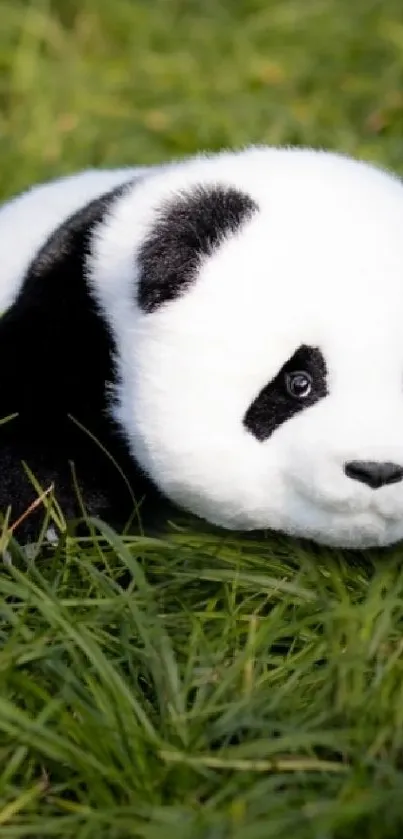 Cute panda toy lying on vibrant green grass.