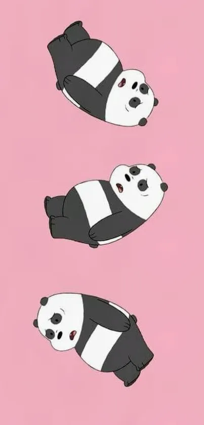 Cute cartoon pandas on a pink background wallpaper.