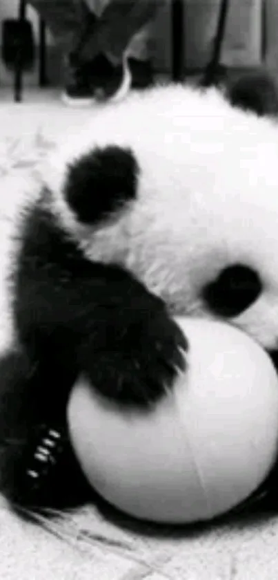 Monochrome panda hugging a ball mobile wallpaper.