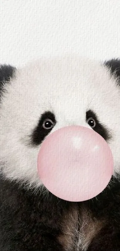 Cute panda blowing pink bubblegum on white background.