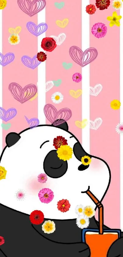 Cute panda sipping with hearts on pink background.